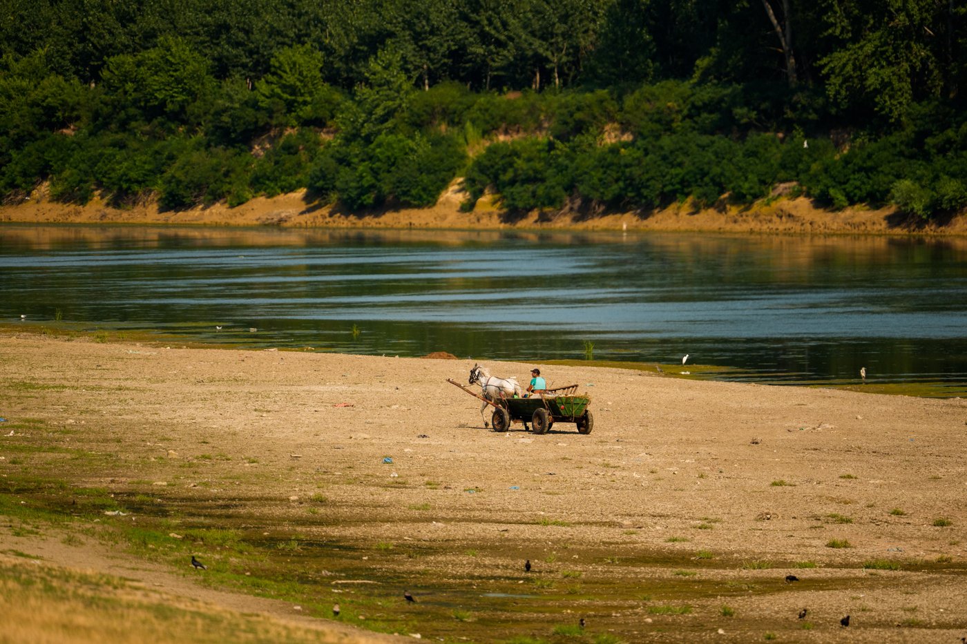 Record-low Danube River affects tourism and industry as drought and heat grip Central Europe | iNFOnews.ca