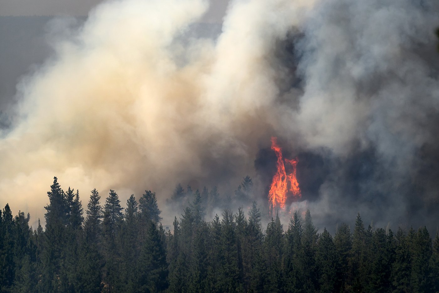 4th firefighter dies from burn injuries in western Colorado blaze | iNFOnews.ca 4th firefighter dies from burn injuries in western Colorado blaze | iNFOnews.ca