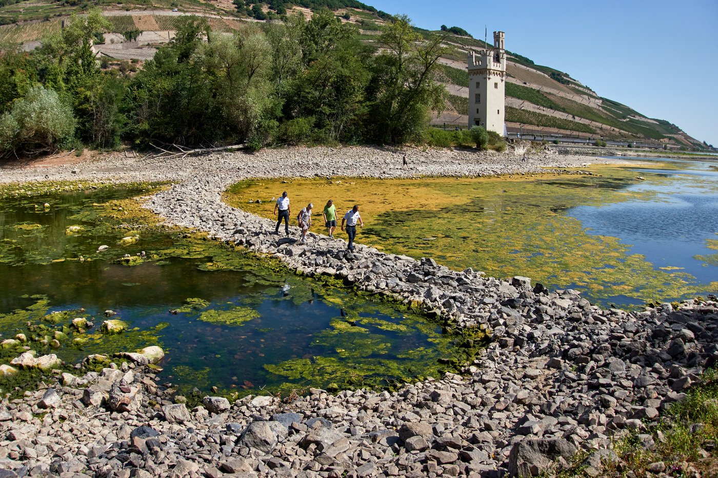 UK and France prepare for another heat wave as western Europe sets new temperature record | iNFOnews.ca UK and France prepare for another heat wave as western Europe sets new temperature record | iNFOnews.ca