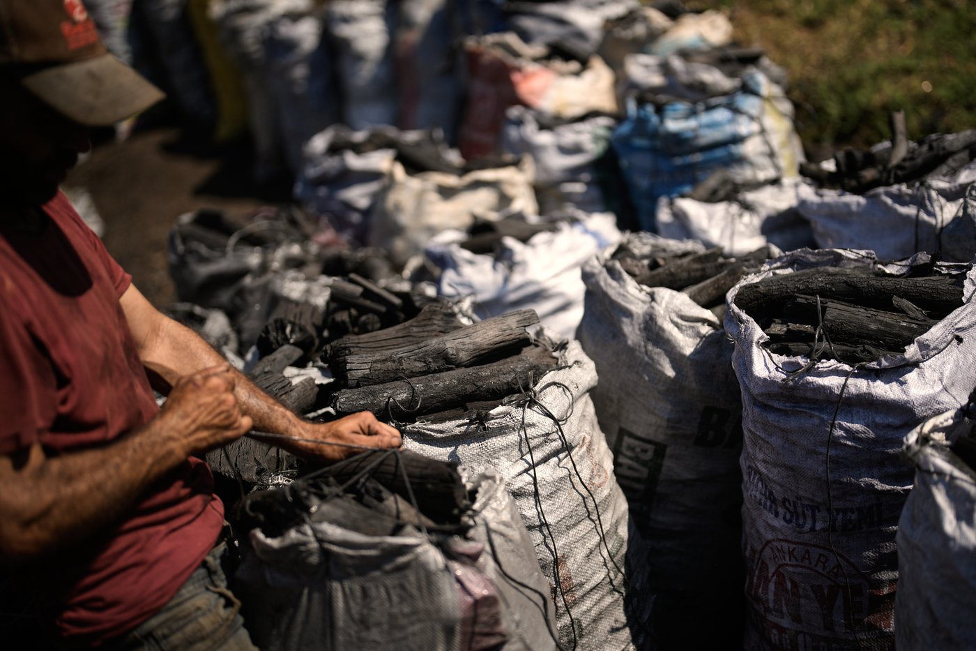 Father and sons keep a traditional charcoal craft alive, in photos | iNFOnews.ca
