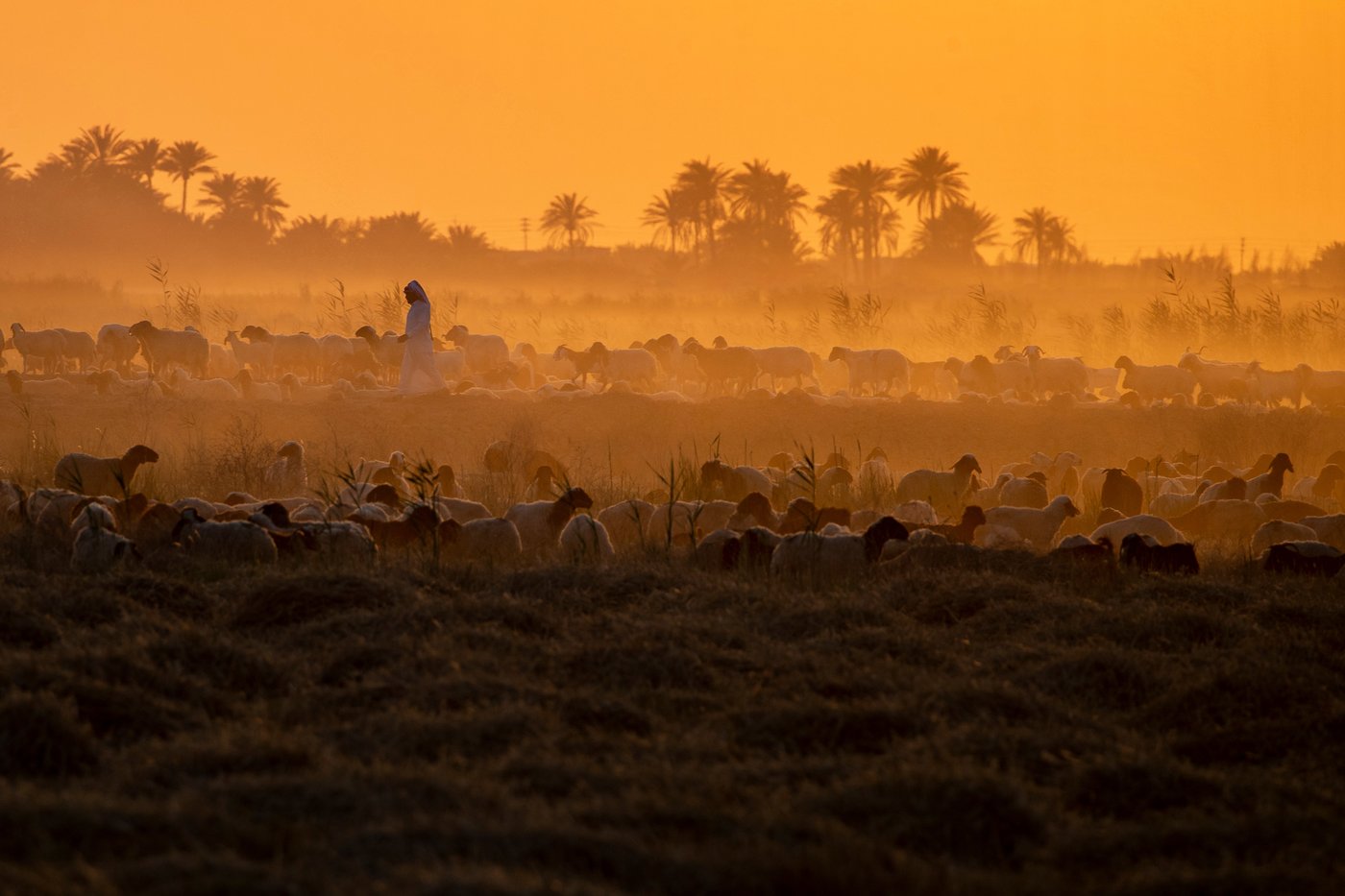 Daily life around the world, in photos | iNFOnews.ca