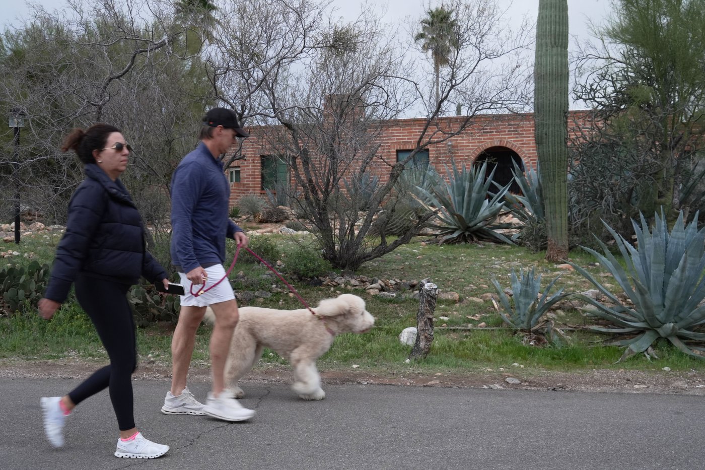 Behind the scenes sorting through tips in cases like the Nancy Guthrie disappearance | iNFOnews.ca