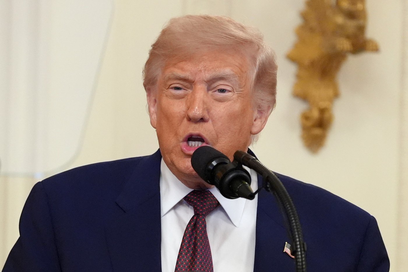Friction between Trump and Republican senators is growing before the pivotal midterm elections | iNFOnews.ca
