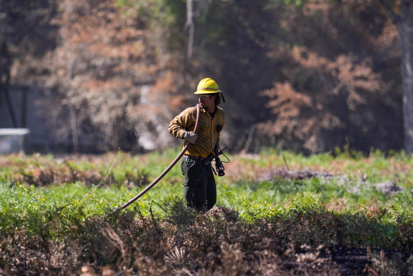 Georgia blaze shows how climate change has led to more wildfires in the East | iNFOnews.ca
