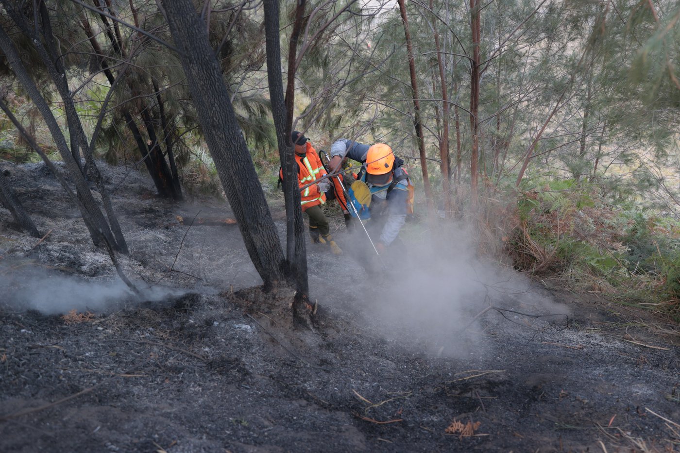 Indonesia battles growing wildfires as Mount Bromo blaze spreads | iNFOnews.ca Indonesia battles growing wildfires as Mount Bromo blaze spreads | iNFOnews.ca