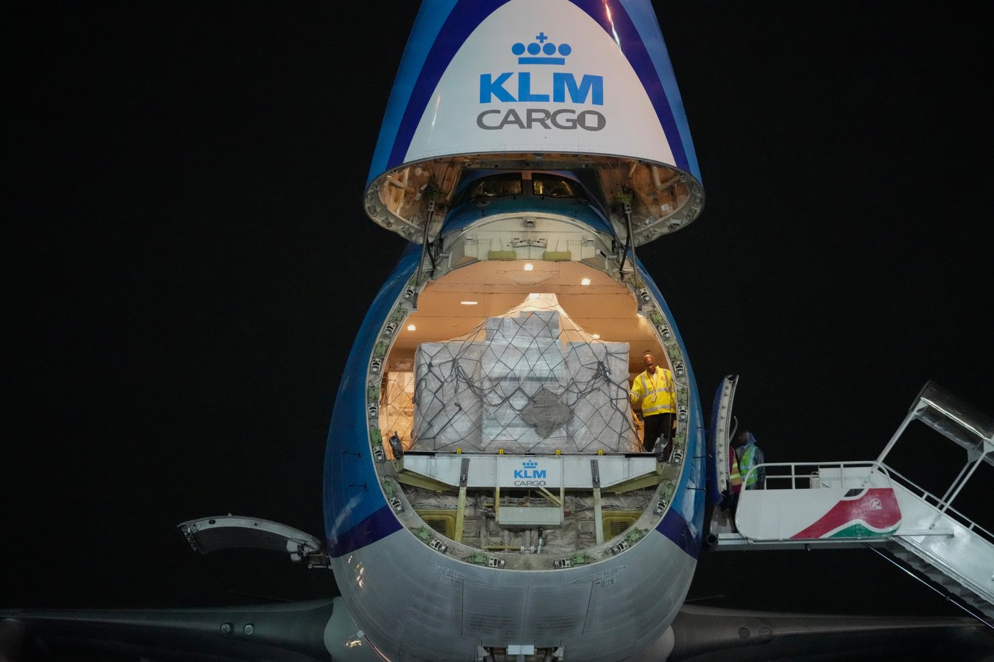 Critically endangered antelopes return to Kenya from Czech zoo | iNFOnews.ca