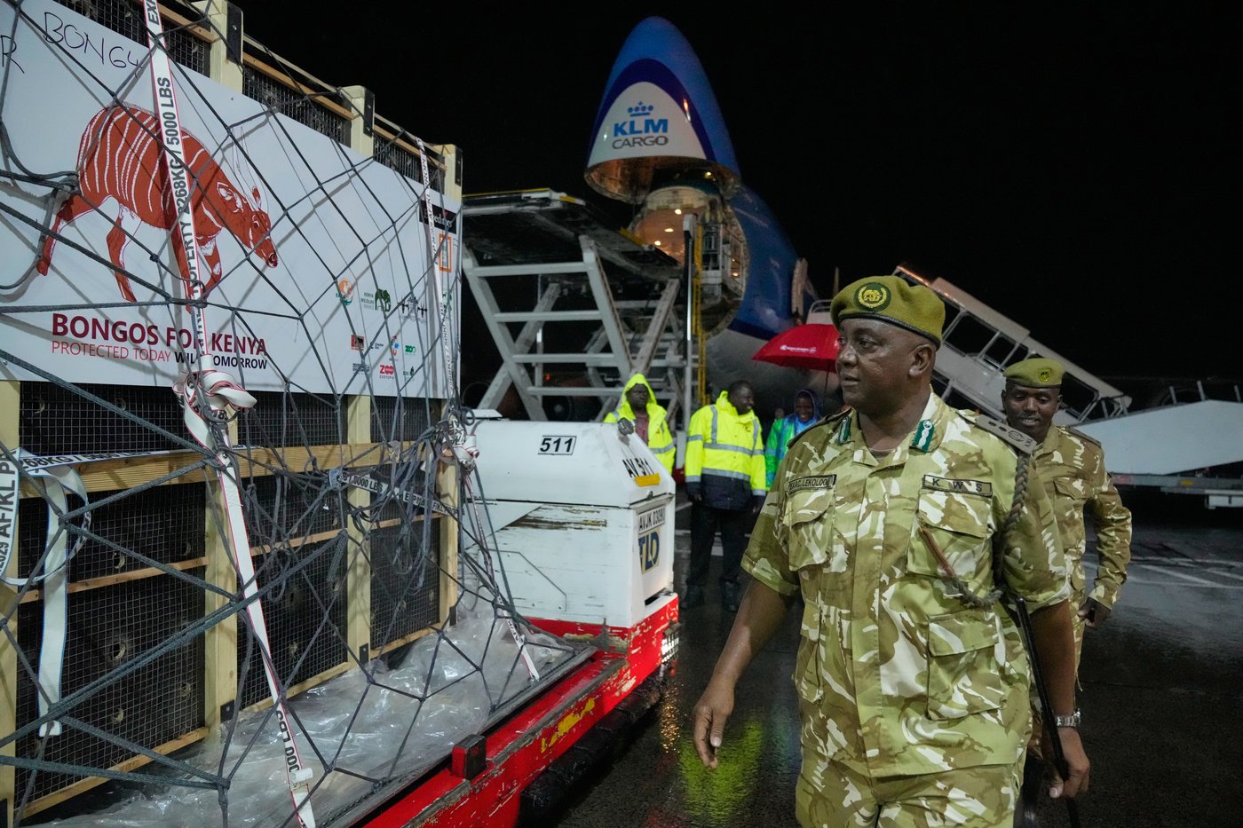 Critically endangered antelopes return to Kenya from Czech zoo | iNFOnews.ca