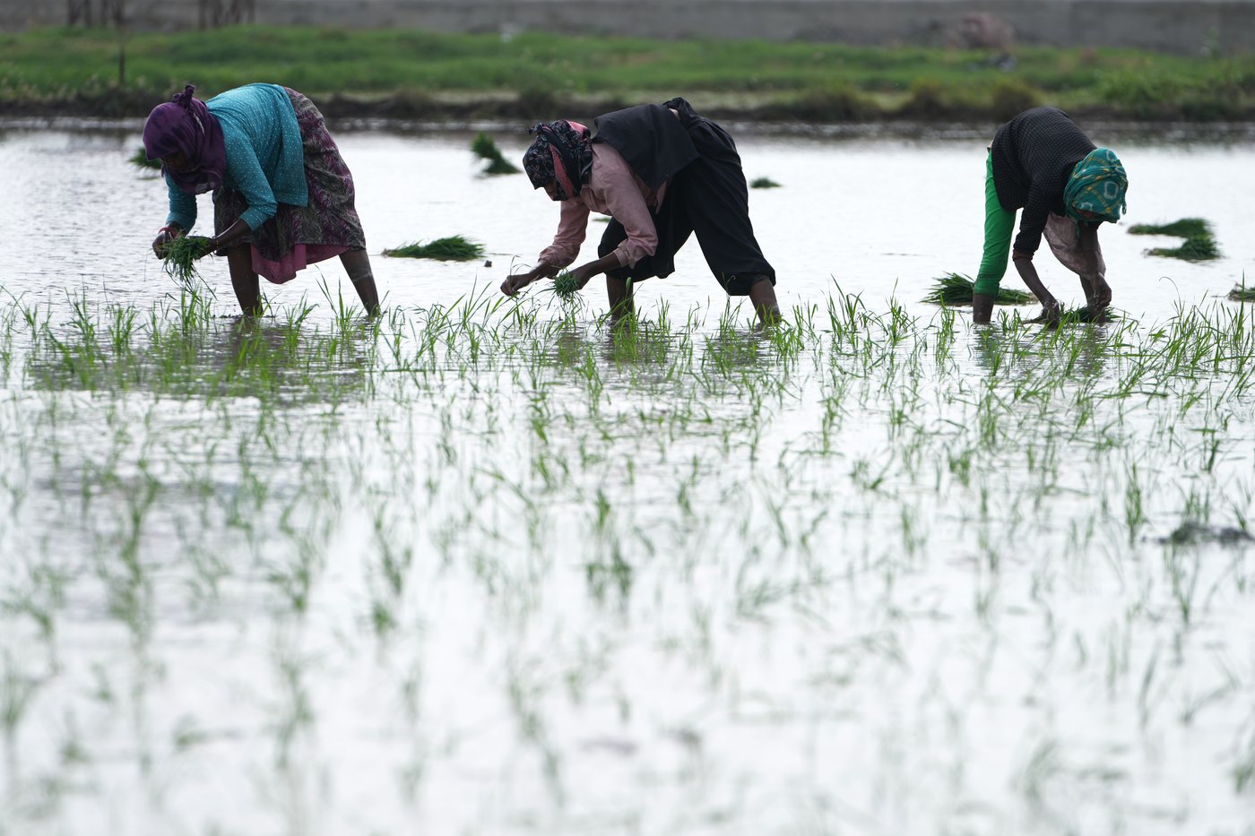 Daily life around the world, in photos | iNFOnews.ca