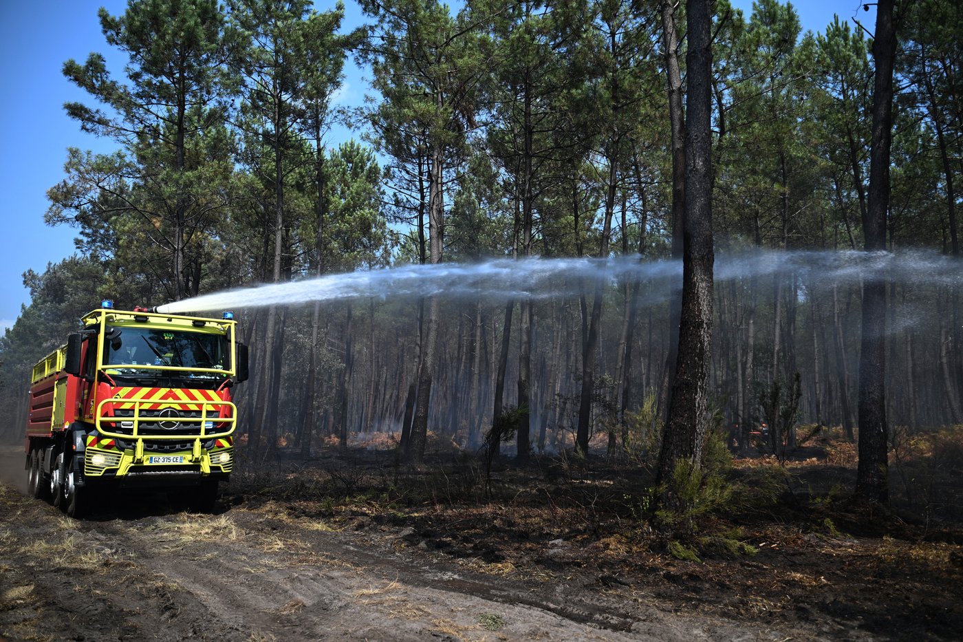 France's forest management may need to change to prevent more wildfires in Les Landes | iNFOnews.ca France's forest management may need to change to prevent more wildfires in Les Landes | iNFOnews.ca