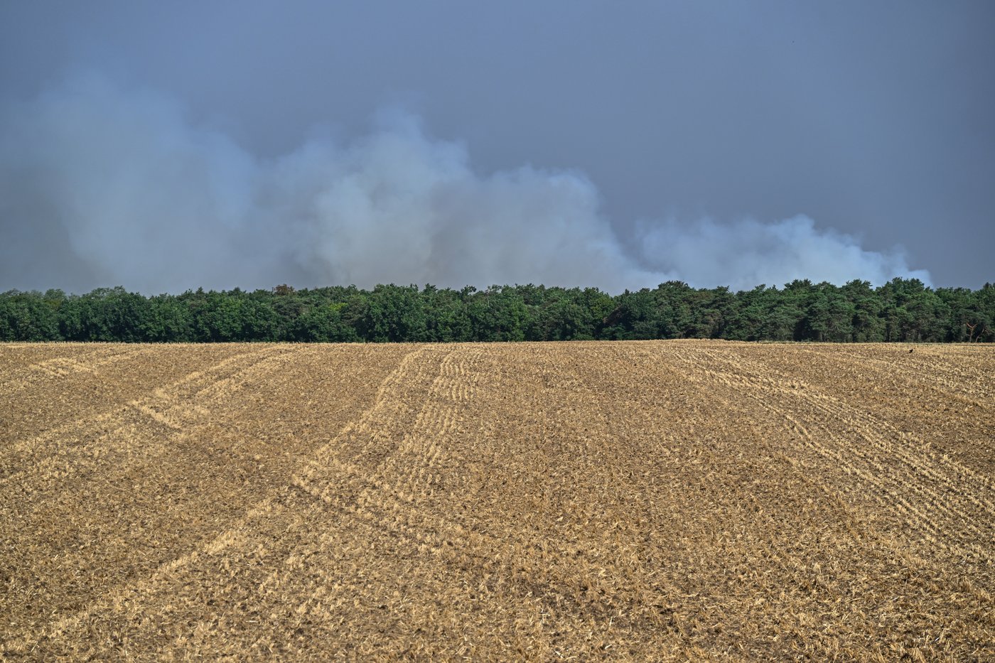 Fire in Fontainebleau forest near Paris triggers evacuations; 10 still missing in Spanish wildfire | iNFOnews.ca Fire in Fontainebleau forest near Paris triggers evacuations; 10 still missing in Spanish wildfire | iNFOnews.ca