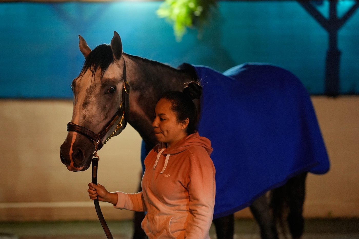 Fulleffort scratched from the Kentucky Derby, putting Ocelli into the race | iNFOnews.ca