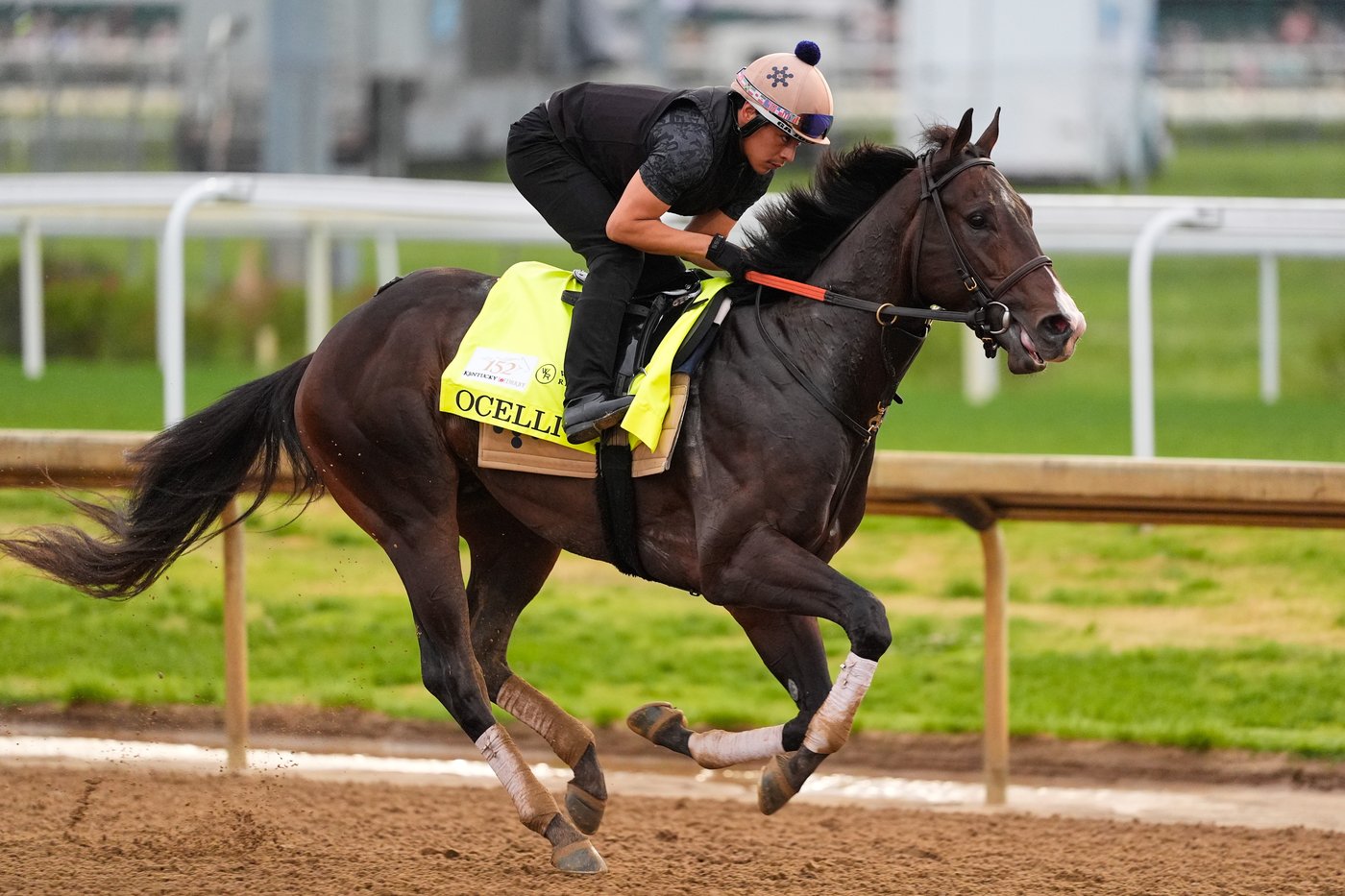 Fulleffort scratched from the Kentucky Derby, putting Ocelli into the race | iNFOnews.ca