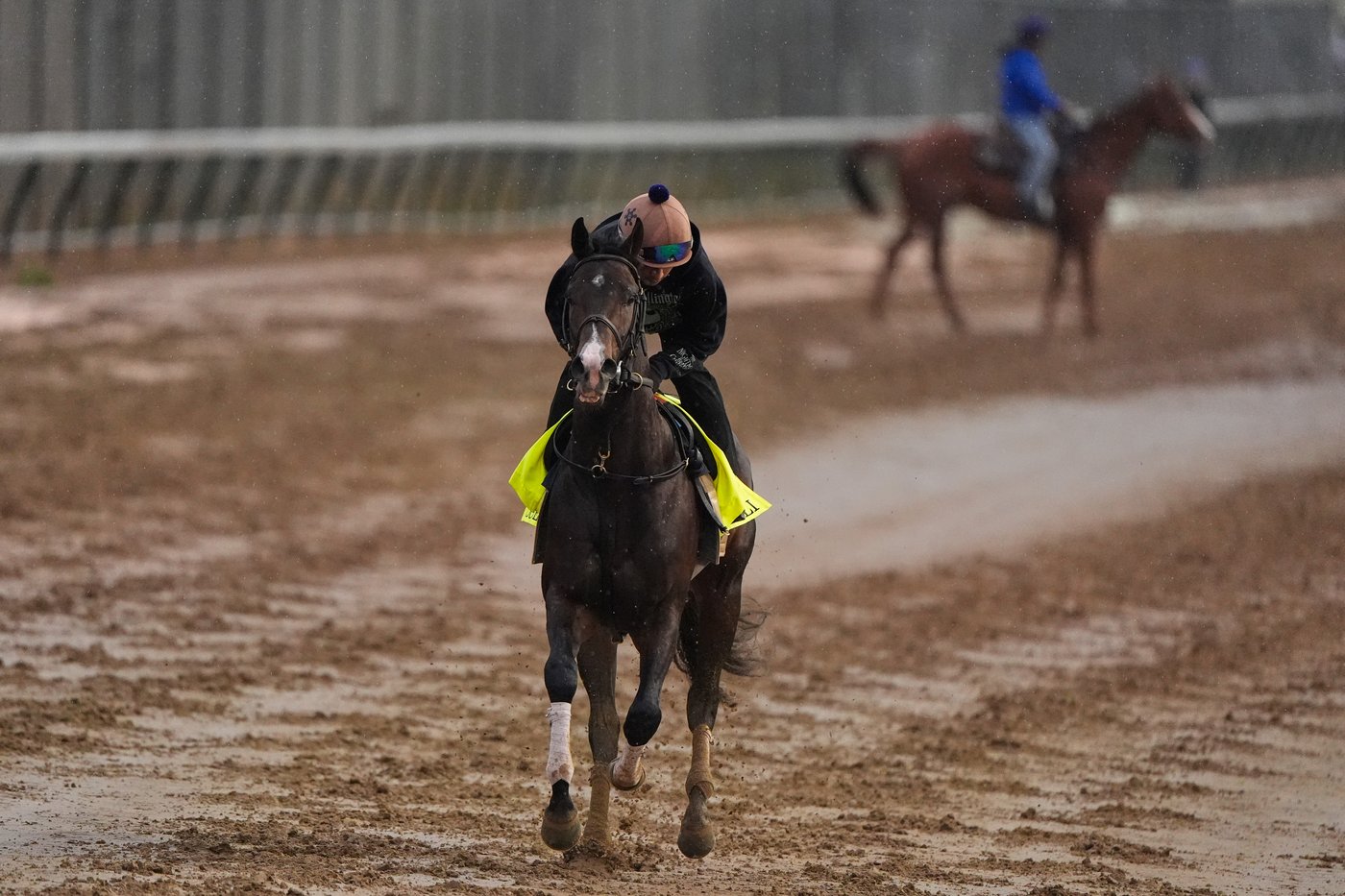 Fulleffort scratched from the Kentucky Derby, putting Ocelli into the race | iNFOnews.ca