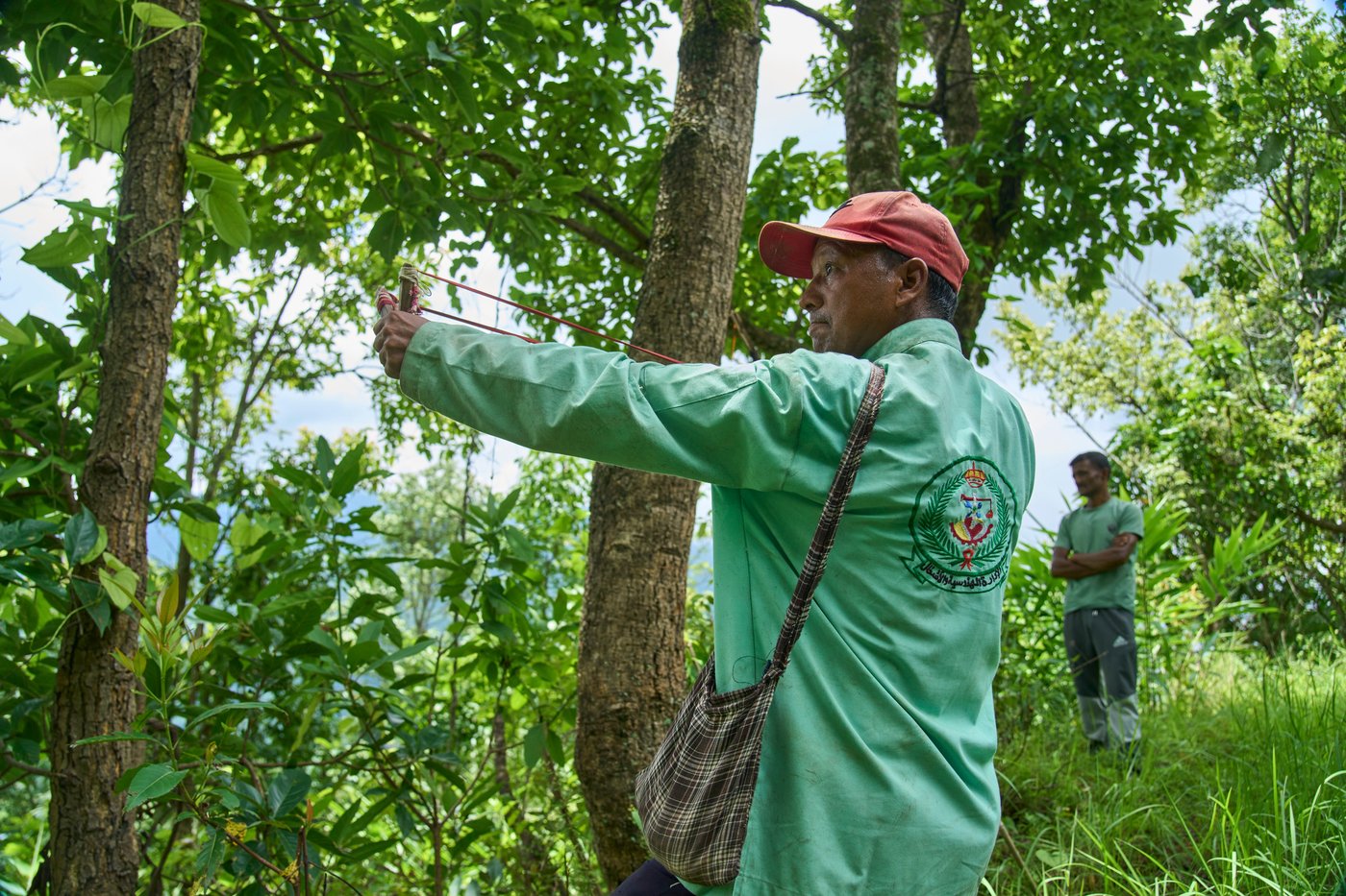 PHOTO ESSAY: Crop-raiding monkeys threaten Nepal's farming communities | iNFOnews.ca