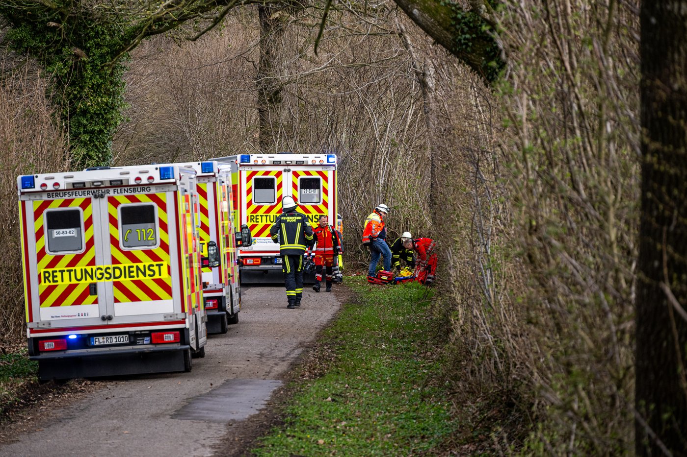 3 killed as high winds topple a tree on an Easter egg hunt in Germany | iNFOnews.ca