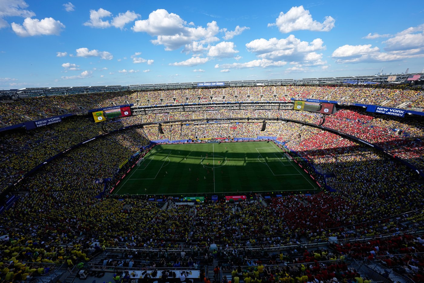 FIFA selling the field to be used for the World Cup final in $450 pieces | iNFOnews.ca