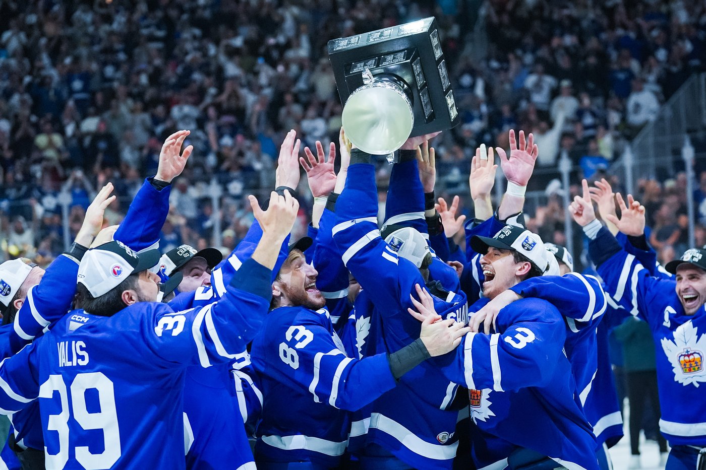 Toronto Marlies win American Hockey League's Calder Cup | iNFOnews.ca