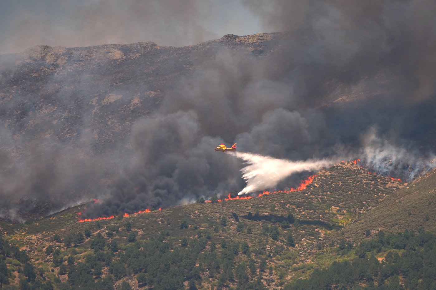 More than 200,000 people flee raging wildfires in France and Spain, some escaping by boat | iNFOnews.ca