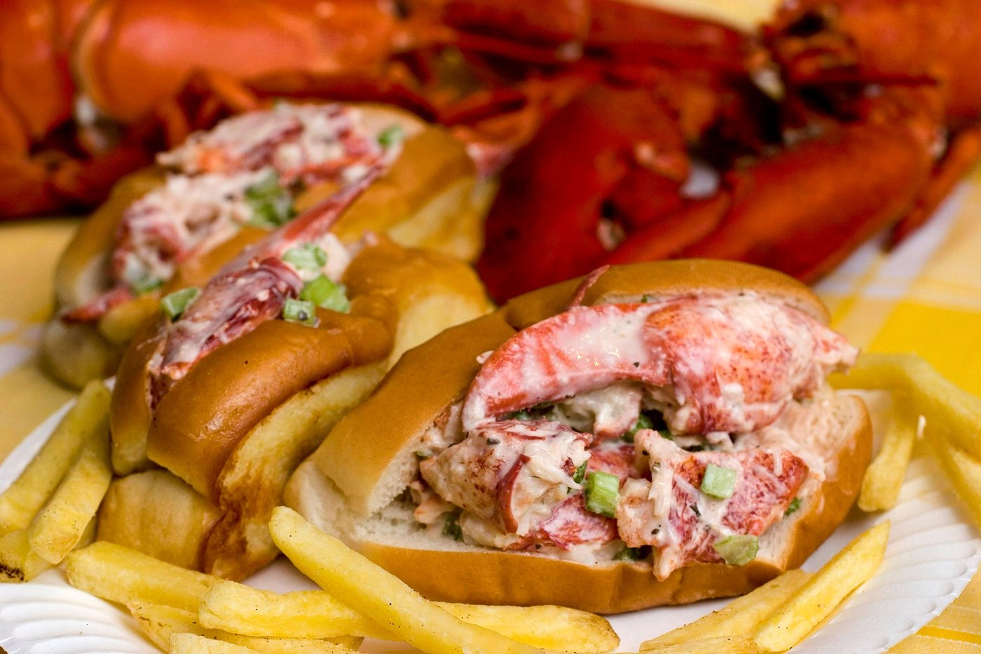 World Cup host Boston has lobster rolls, American history and Fenway Park: Things to know | iNFOnews.ca World Cup host Boston has lobster rolls, American history and Fenway Park: Things to know | iNFOnews.ca