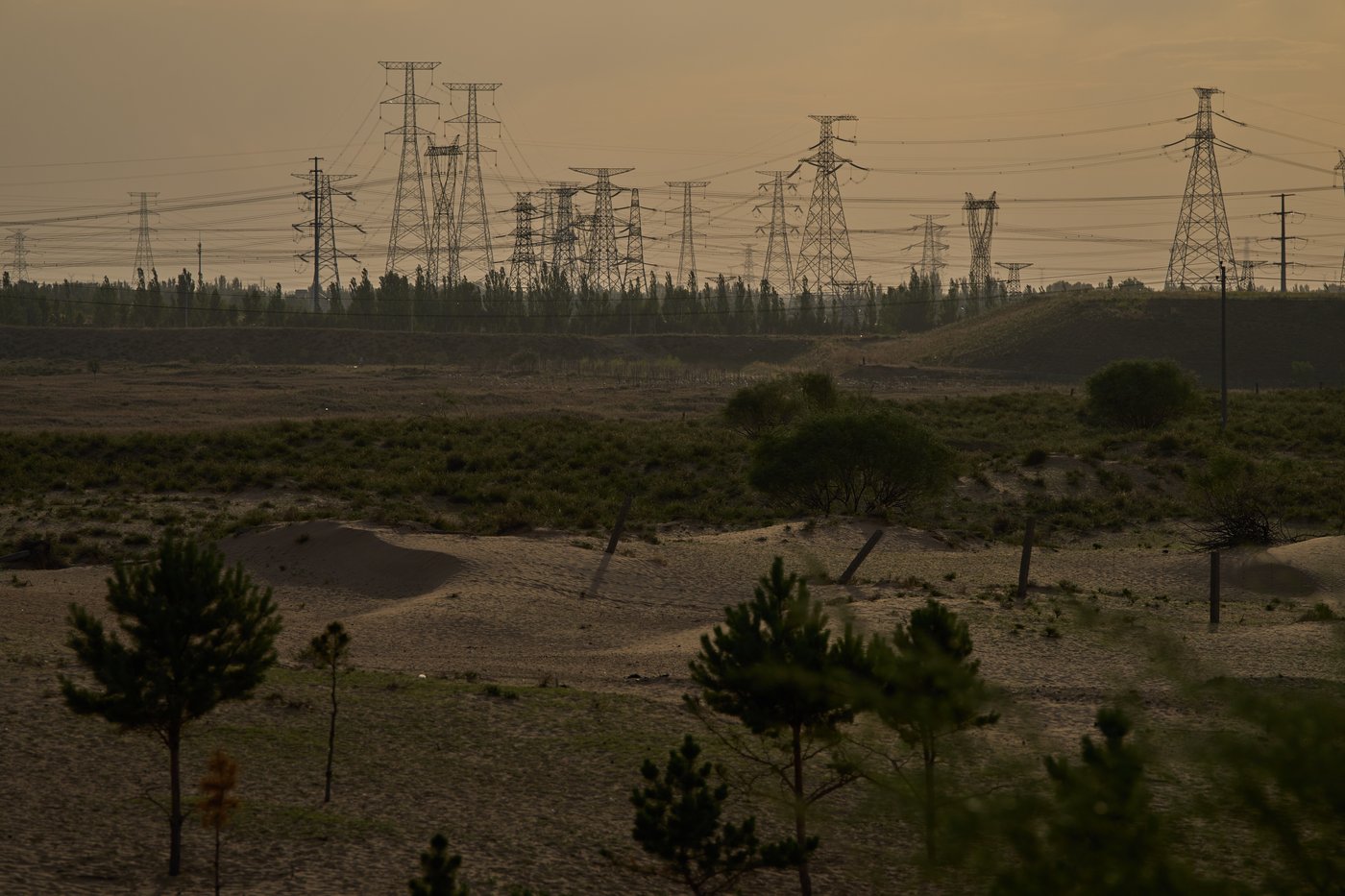 China’s 'Green Great Wall' tames desert growth, but scientists warn the fight is not over | iNFOnews.ca China’s 'Green Great Wall' tames desert growth, but scientists warn the fight is not over | iNFOnews.ca