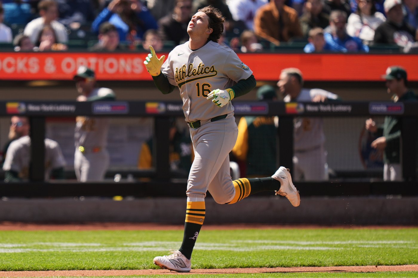 Money and tech have closed the gap between NCAA baseball and MLB. That's good news for coaches | iNFOnews.ca