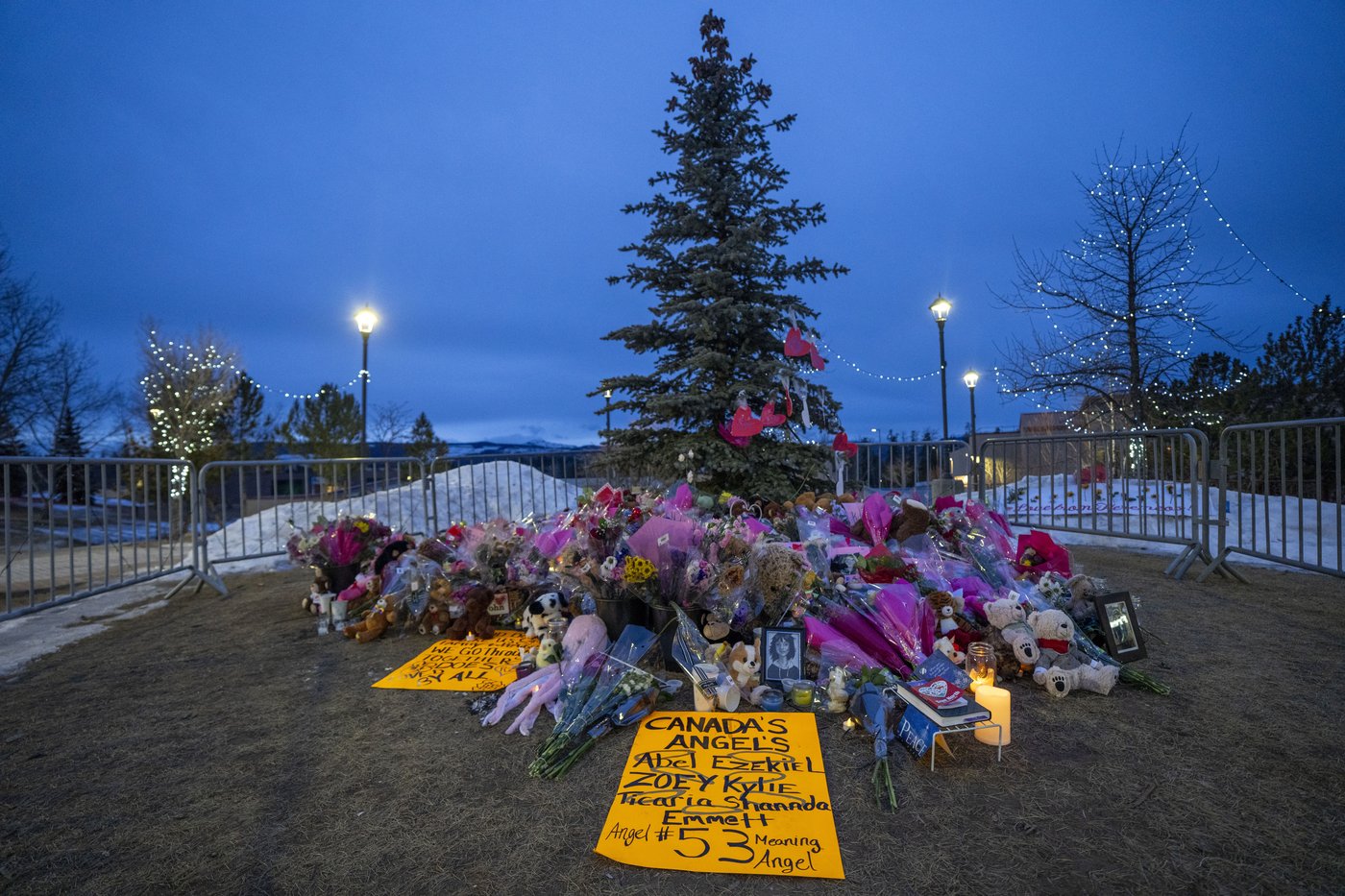 B.C. Conservative MPs Zimmer, Caputo ask for public inquiry into Tumbler Ridge deaths | iNFOnews.ca