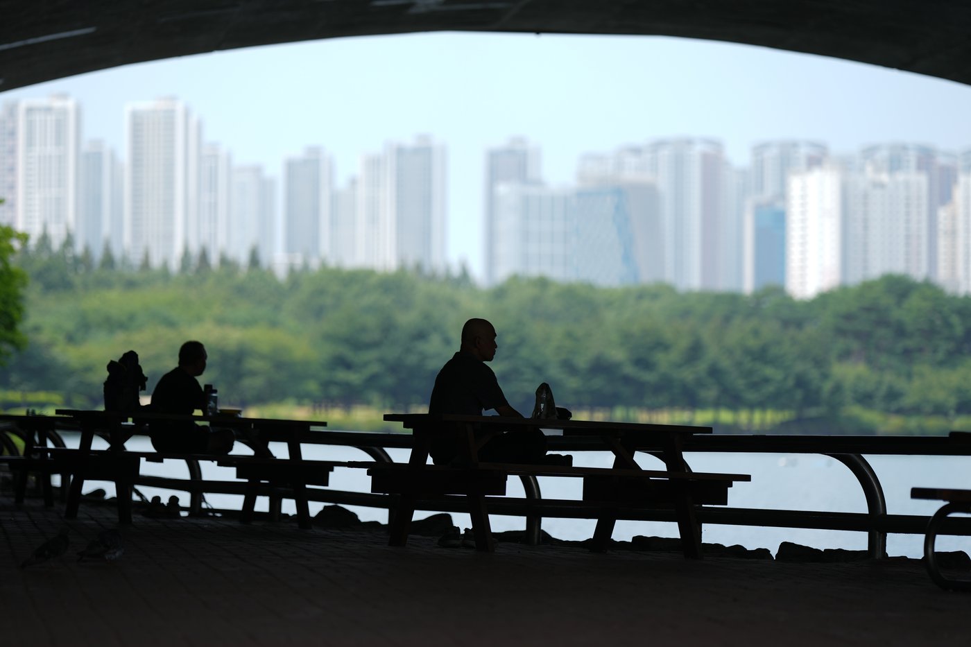 Record heat wave impacts people and animals in Japan and Korean Peninsula | iNFOnews.ca Record heat wave impacts people and animals in Japan and Korean Peninsula | iNFOnews.ca