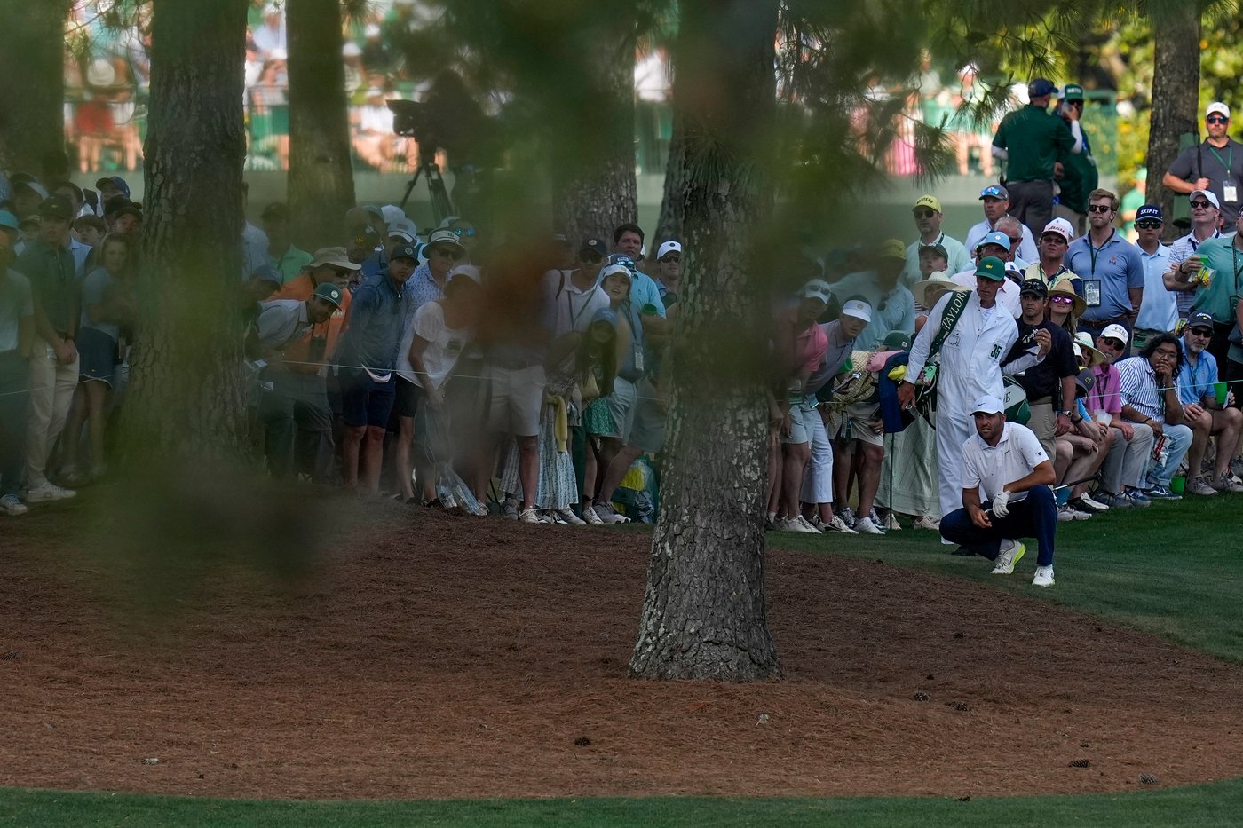 Scottie Scheffler falls a stroke short of a record Masters comeback after a flawless weekend | iNFOnews.ca