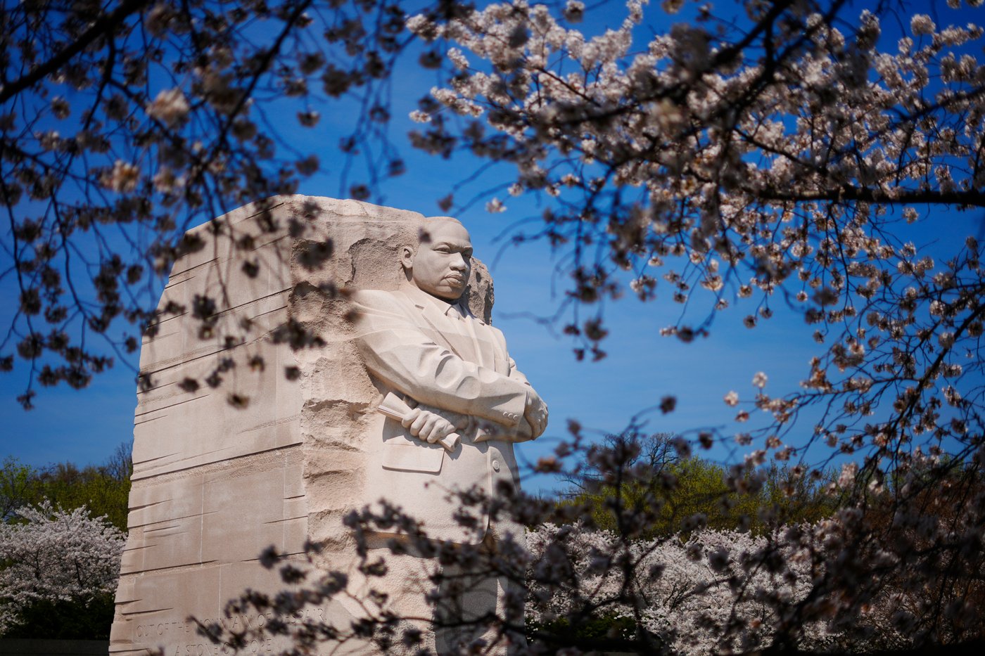 A world in bloom: Spring flowers unfold from Tokyo to Mexico, in photos | iNFOnews.ca