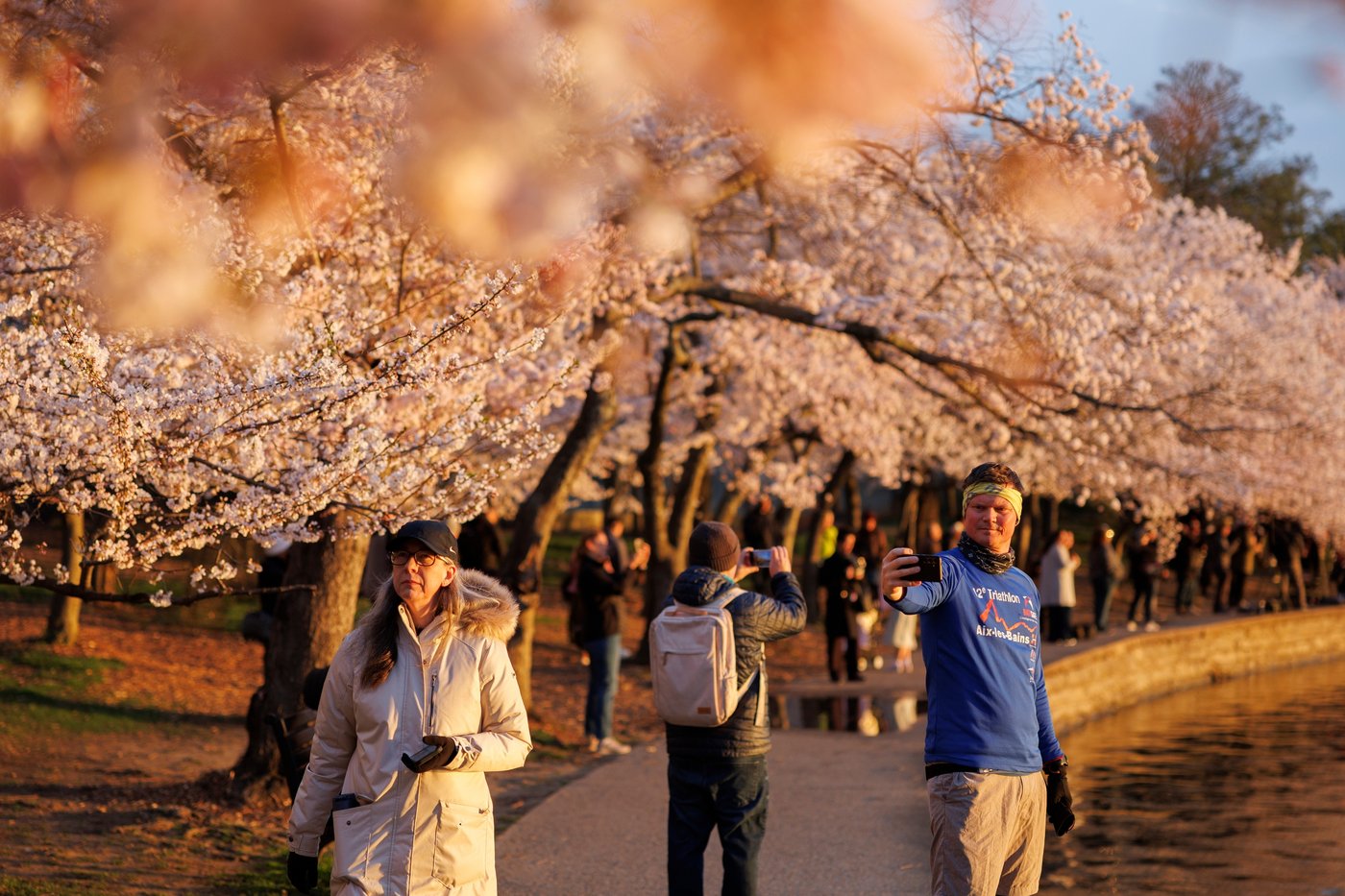 A world in bloom: Spring flowers unfold from Tokyo to Mexico, in photos | iNFOnews.ca