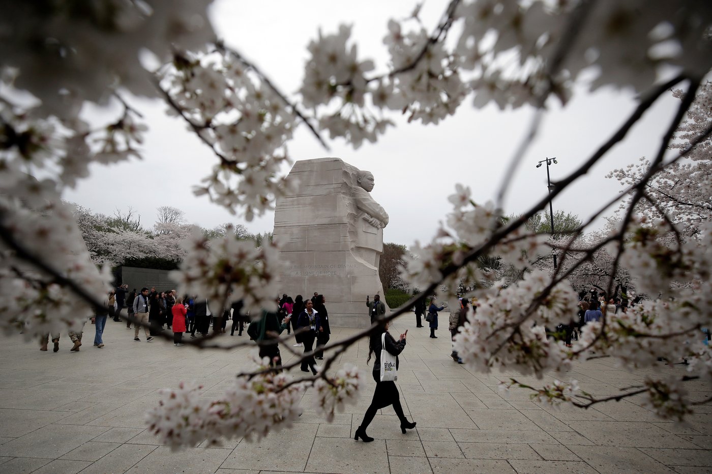 A world in bloom: Spring flowers unfold from Tokyo to Mexico, in photos | iNFOnews.ca