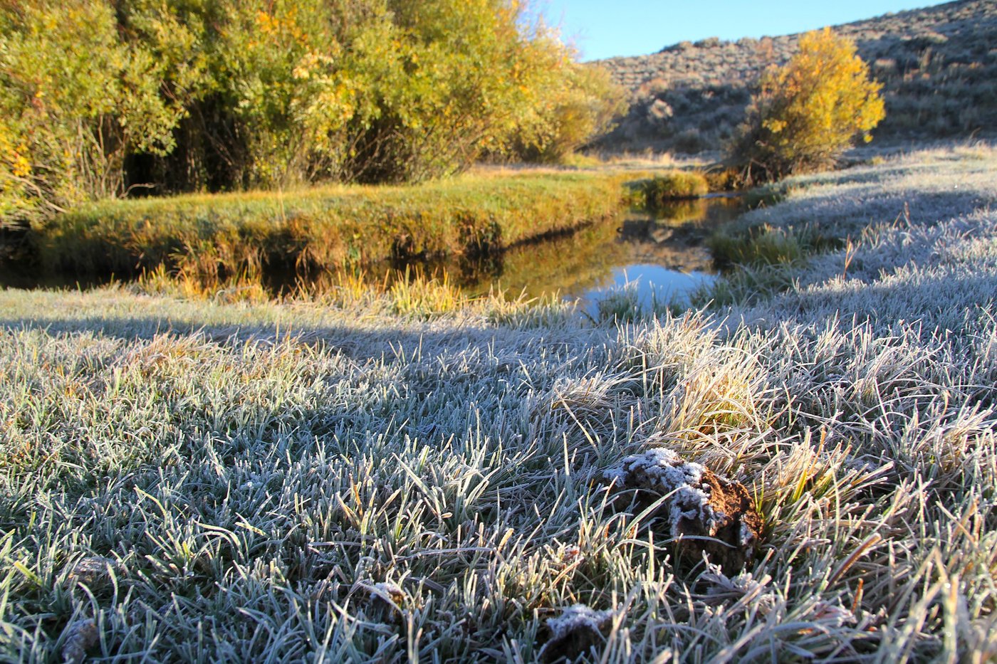EPA, conservation groups: Wyoming’s ‘impaired’ water protocols run afoul of the Clean Water Act | iNFOnews.ca