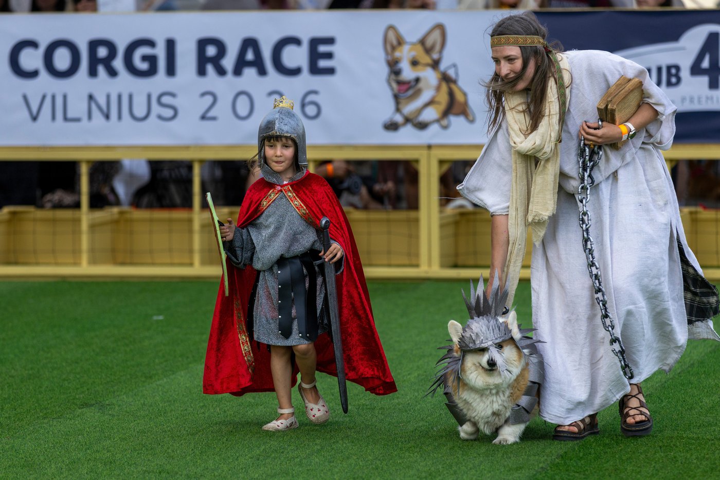 Corgis run, bark and sniff their way to glory at a growing international race | iNFOnews.ca Corgis run, bark and sniff their way to glory at a growing international race | iNFOnews.ca