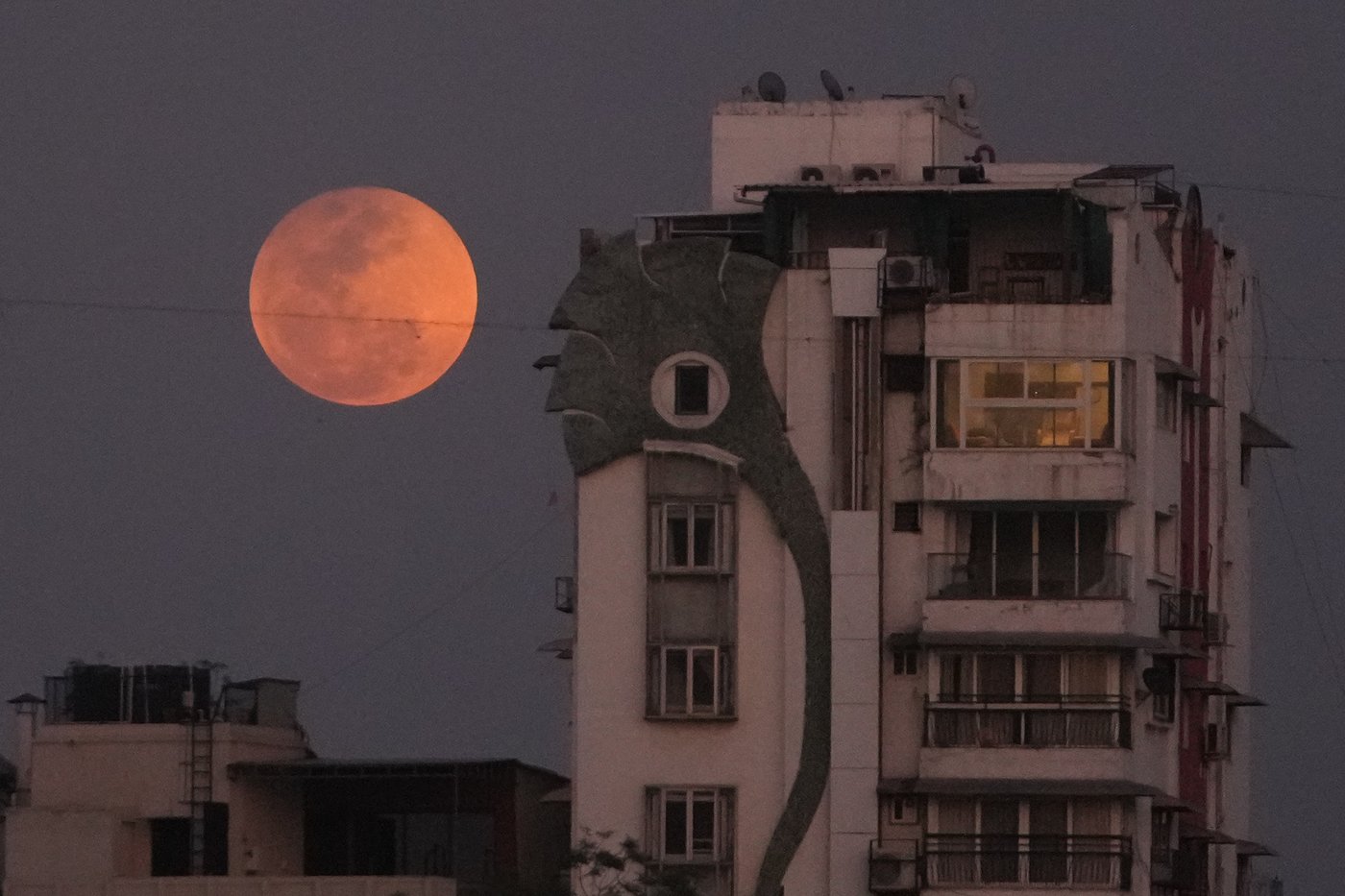 Photos of a blood-red moon and total lunar eclipse | iNFOnews.ca