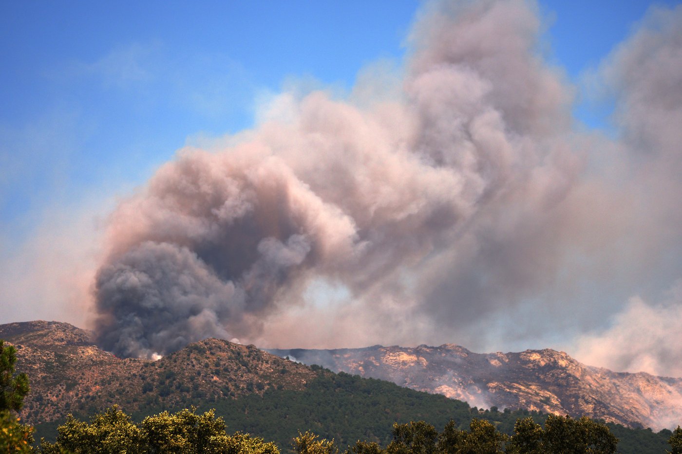 More than 200,000 people flee raging wildfires in France and Spain, some escaping by boat | iNFOnews.ca