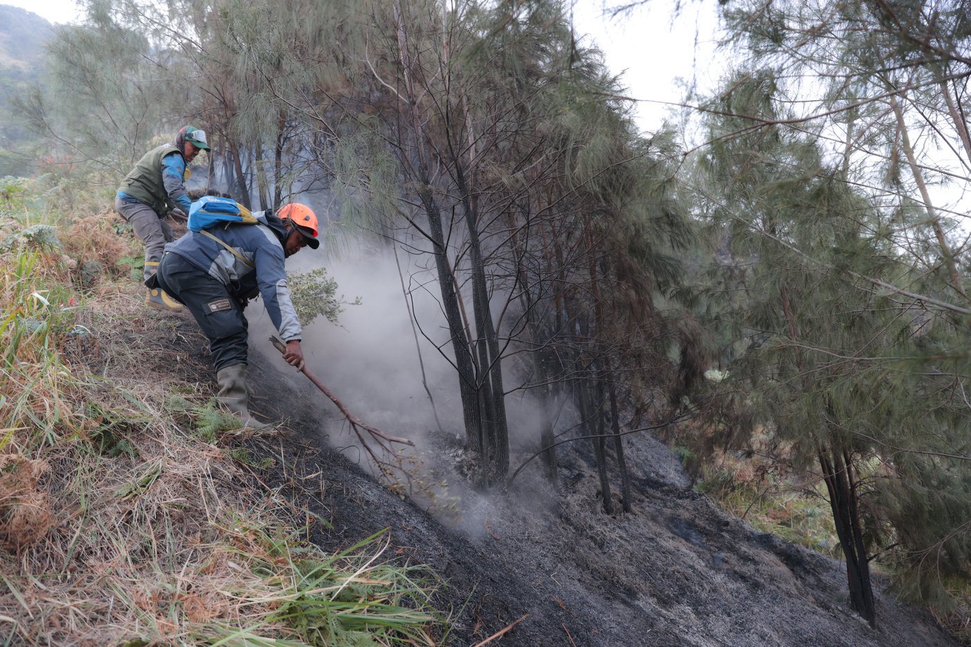 Indonesia battles growing wildfires as Mount Bromo blaze spreads | iNFOnews.ca Indonesia battles growing wildfires as Mount Bromo blaze spreads | iNFOnews.ca