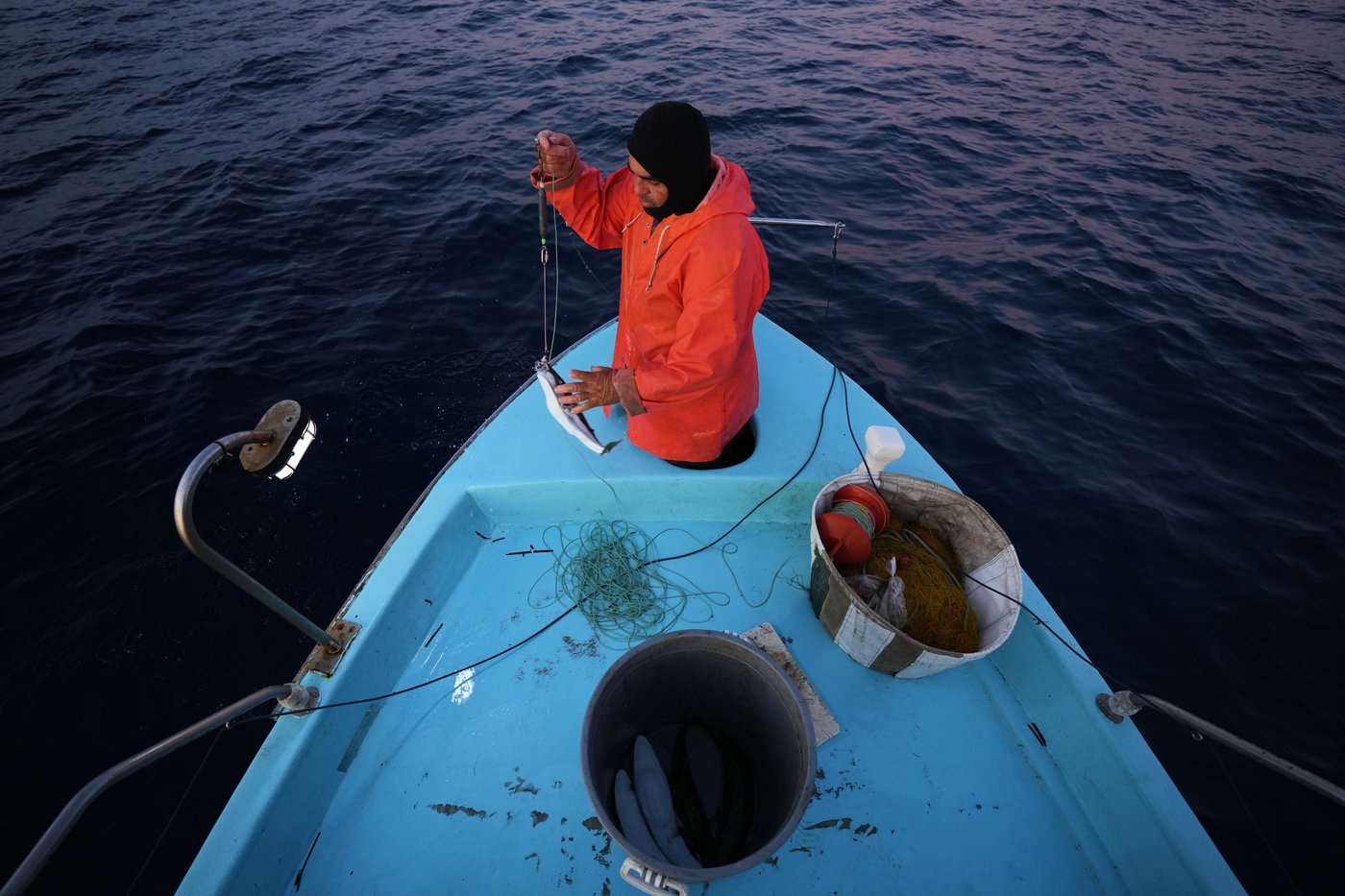 The Mediterranean's warming waters are drawing hundreds of invasive species | iNFOnews.ca