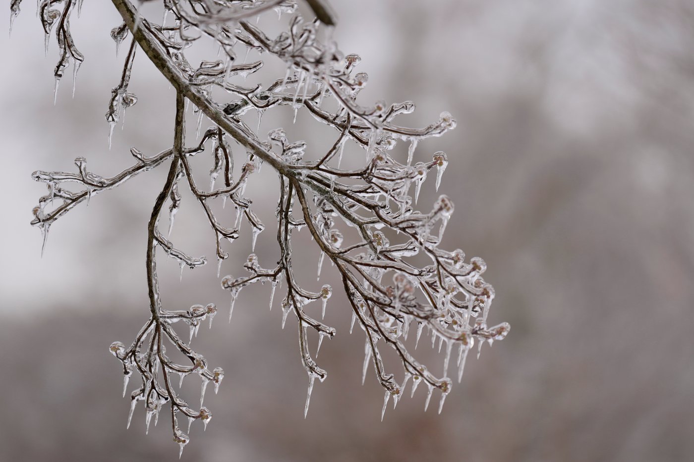 Winter storm across the US in photos | iNFOnews.ca