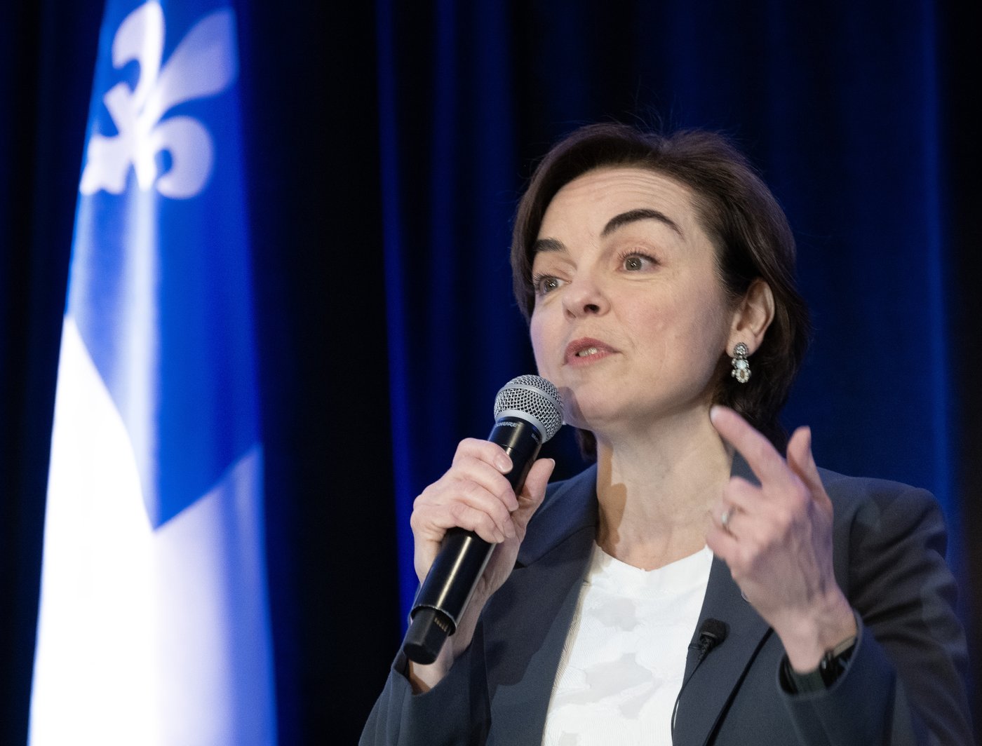 Fréchette to renew Charter override clause for language law as legislature resumes | iNFOnews.ca Fréchette to renew Charter override clause for language law as legislature resumes | iNFOnews.ca