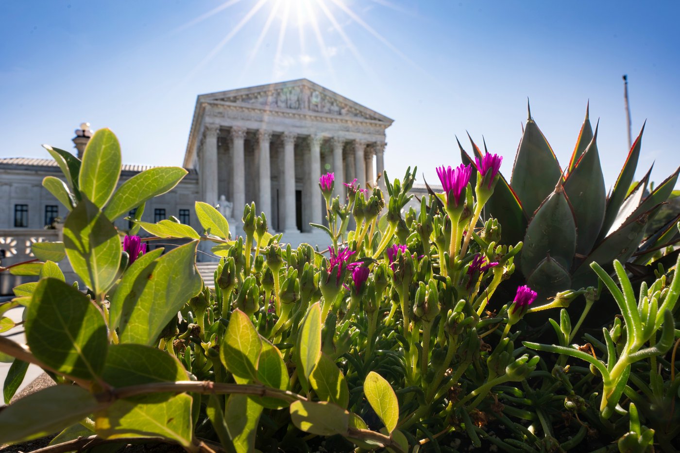 Nothing changes yet with the Supreme Court's order on elections. But it could open door to 'chaos' | iNFOnews.ca
