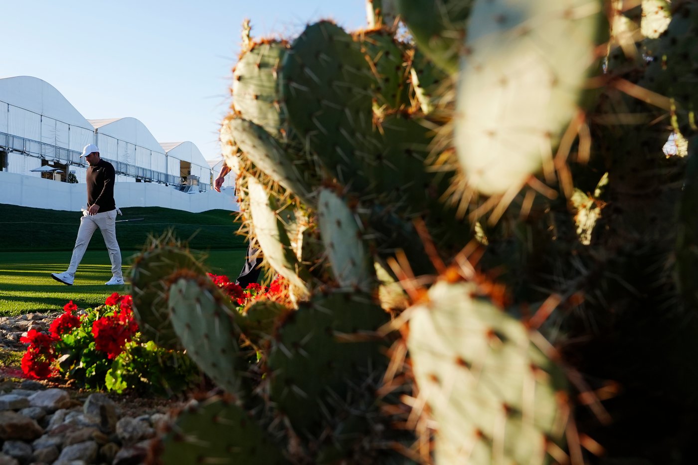 Pair of flubbed chips leave Scottie Scheffler in danger of missing the cut at Phoenix Open | iNFOnews.ca