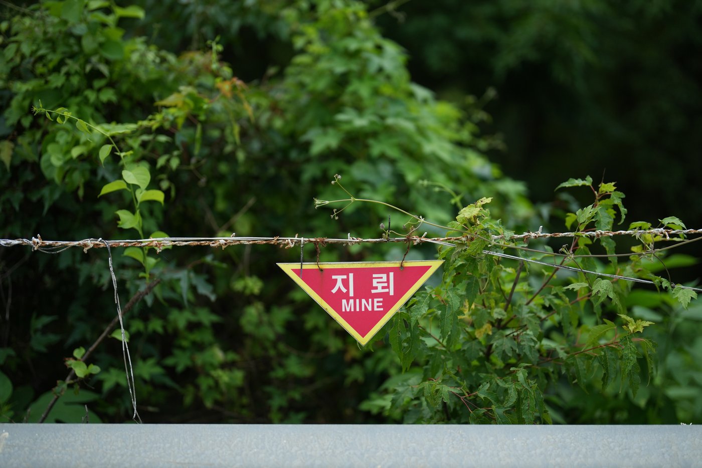 Photos show North and South Korea still divided 73 years after the armistice | iNFOnews.ca