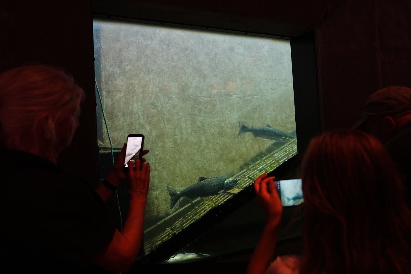 The top photos of the day by AP's photojournalists | iNFOnews.ca
