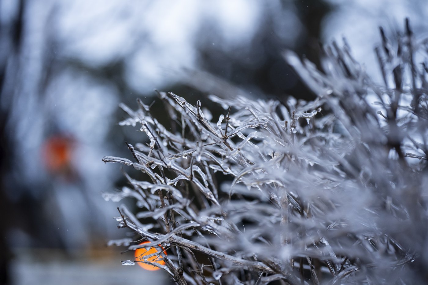 About 8,300 customers still without power in Quebec after ice storm | iNFOnews.ca