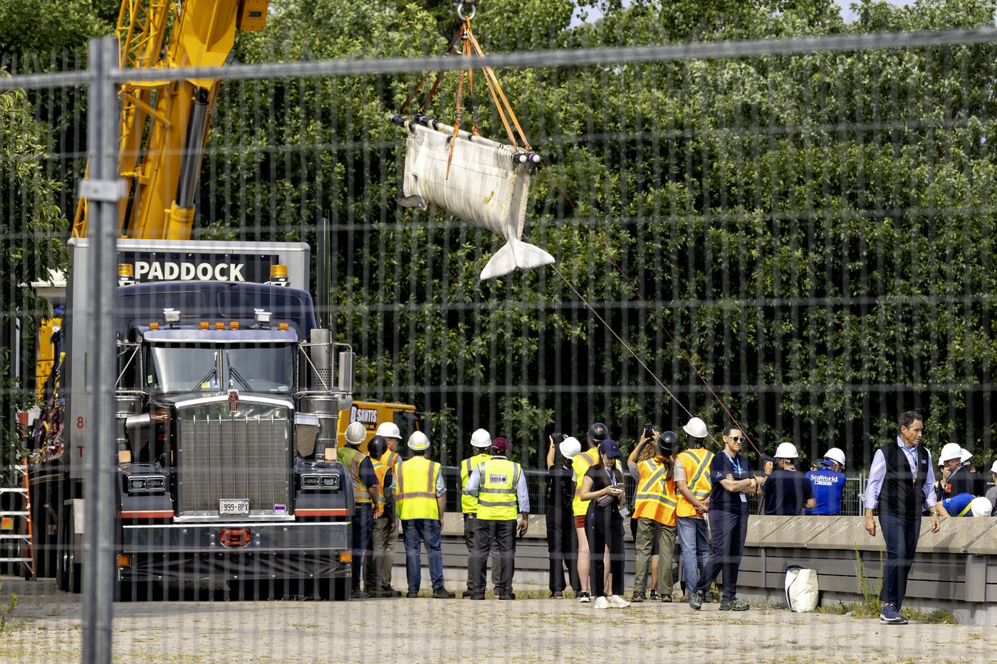 Six whales moved out of Marineland in 'complex' operation, headed to U.S. aquariums | iNFOnews.ca Six whales moved out of Marineland in 'complex' operation, headed to U.S. aquariums | iNFOnews.ca
