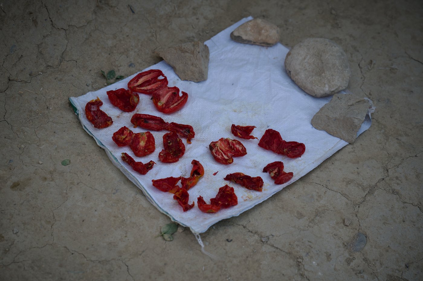 One woman's struggle to survive, 5 years after the Taliban took Kabul, in photos | iNFOnews.ca