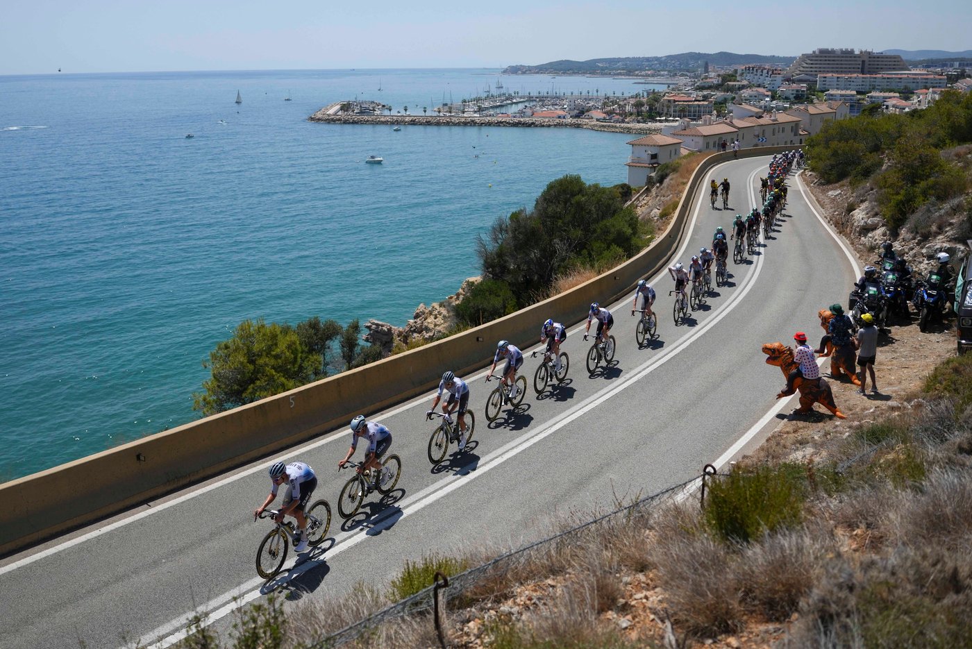 Highlights from the Tour de France in photos | iNFOnews.ca