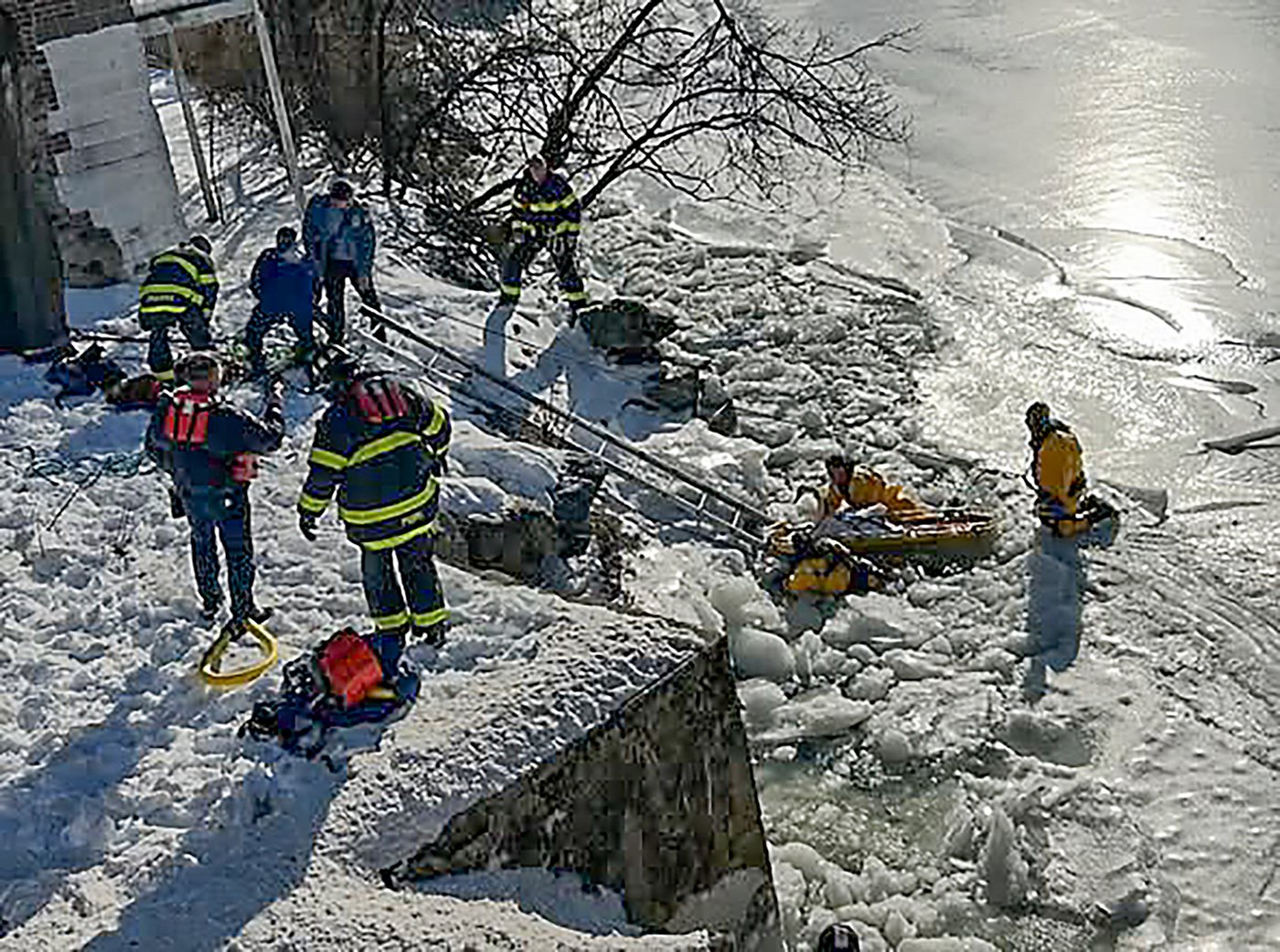 Firefighters rescue swan stuck in frozen Connecticut river | iNFOnews.ca