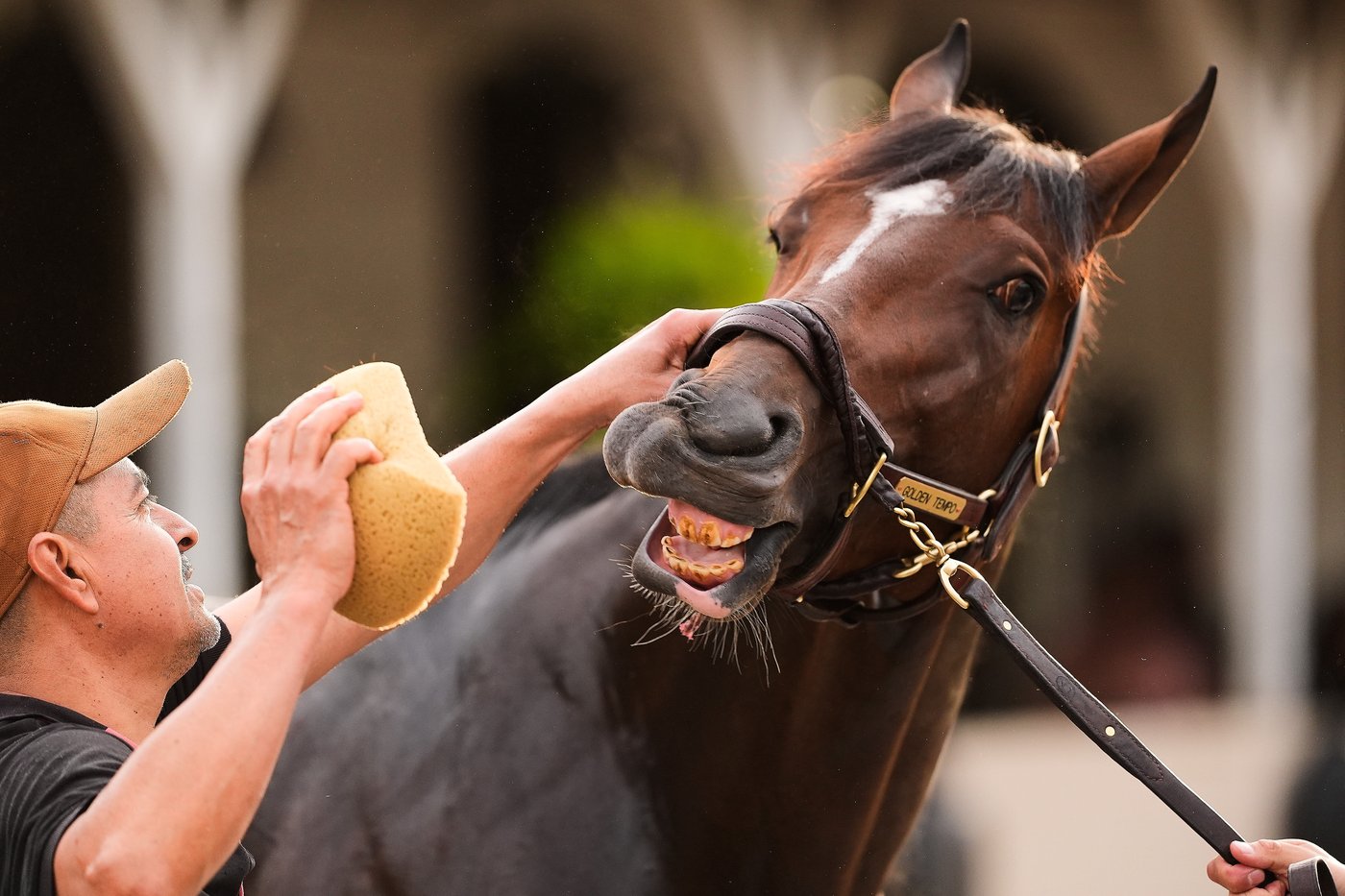 Preakness could soon move later, to 3 weeks after the Kentucky Derby. That might not be enough | iNFOnews.ca