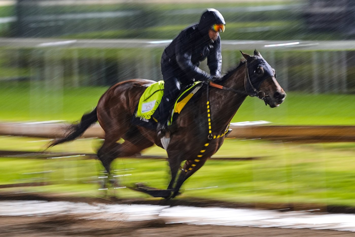 Robusta is in the Kentucky Derby field, giving Cristian Torres the chance to ride | iNFOnews.ca